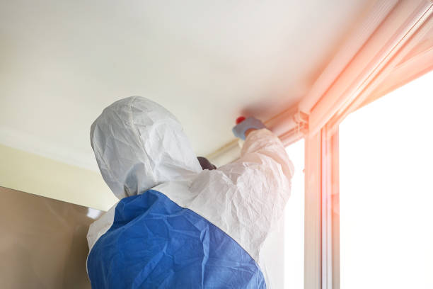 Phenix City, AL Mold Removal Company