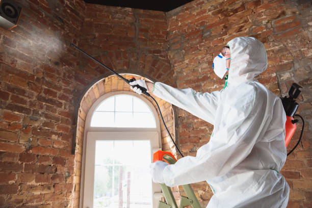 Best Industrial Mold Remediation in Phenix City, AL